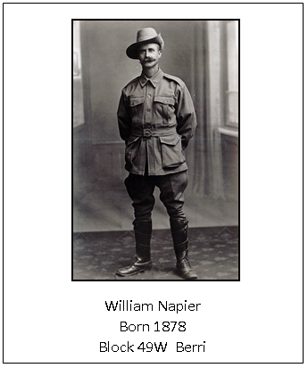 W Napier W Napier