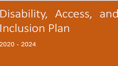Disability and Inclusion Plan