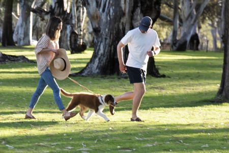 Dog at Martin Bend